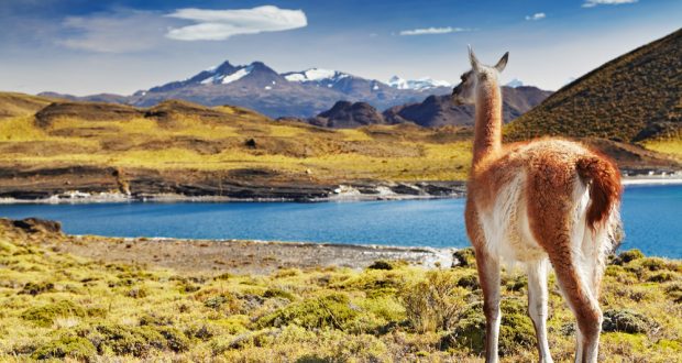 luxury-Patagonia- tours-Torres-Del-Paine-National-Park